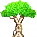 raviivaturi
