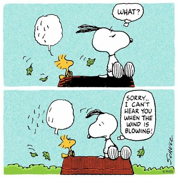 Windy Day  Snoopy cartoon Snoopy funny Snoopy