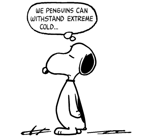 Snoopy Penguin  Snoopy quotes Snoopy Penguins