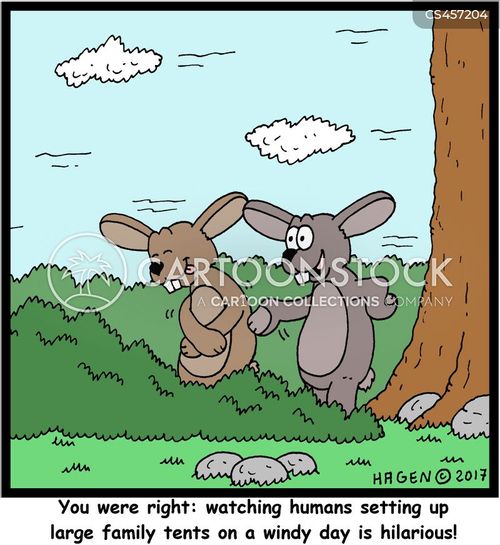 Image result for Camp site cartoon images